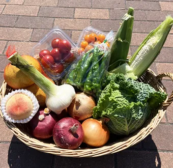 季節の野菜･フルーツセット