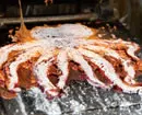 たこ焼き